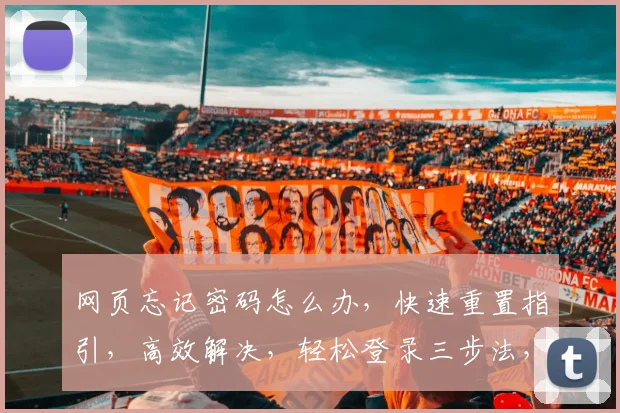 网页忘记密码怎么办，快速重置指引，高效解决，轻松登录三步法，助力找回密码