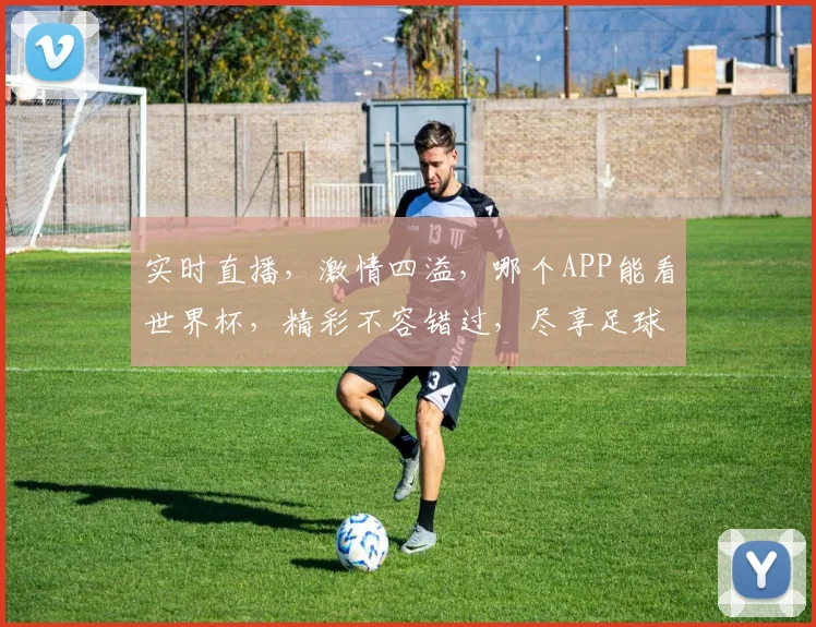 实时直播，激情四溢，哪个APP能看世界杯，精彩不容错过，尽享足球盛宴