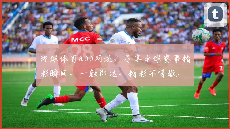 环球体育app网址，尽享全球赛事精彩瞬间，一触即达，精彩不停歇，必看攻略